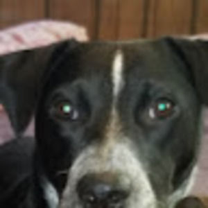 Meet your Posher, Robyn